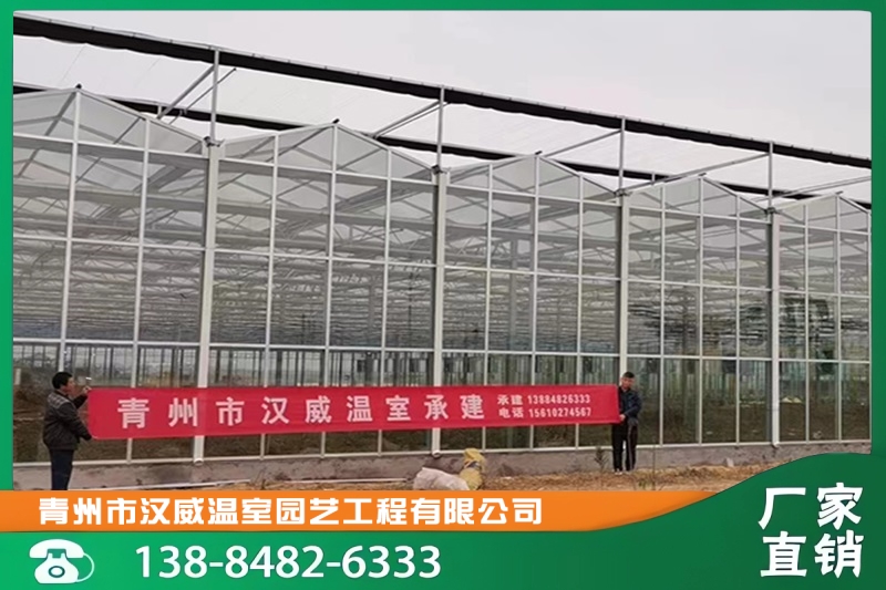 临沂市临沭县优之源生态农业玻璃纹络温室及连栋温室